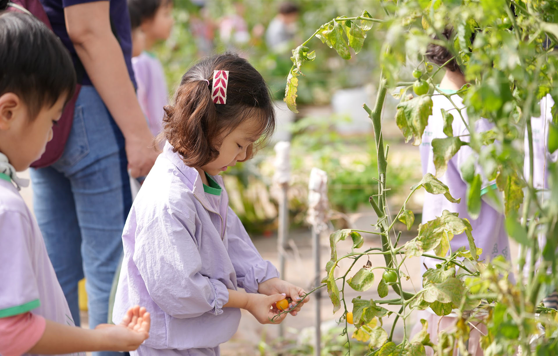 Sky International Preschool Vietnam - A leading Kindergarten in Hanoi