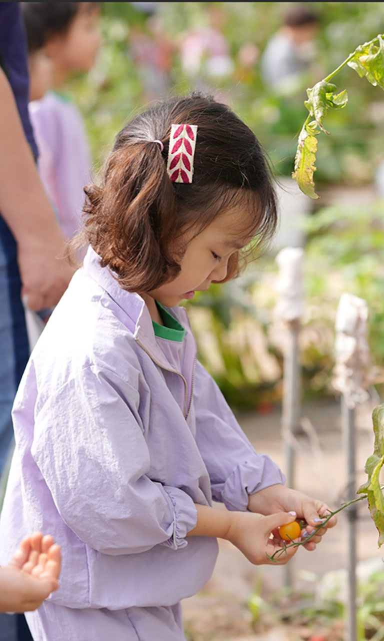 Sky International Preschool Vietnam - A leading Kindergarten in Hanoi