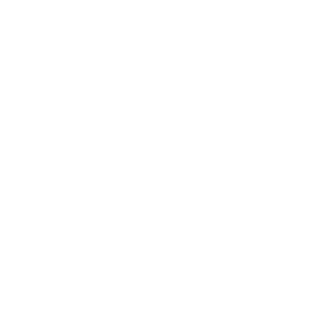 Image41