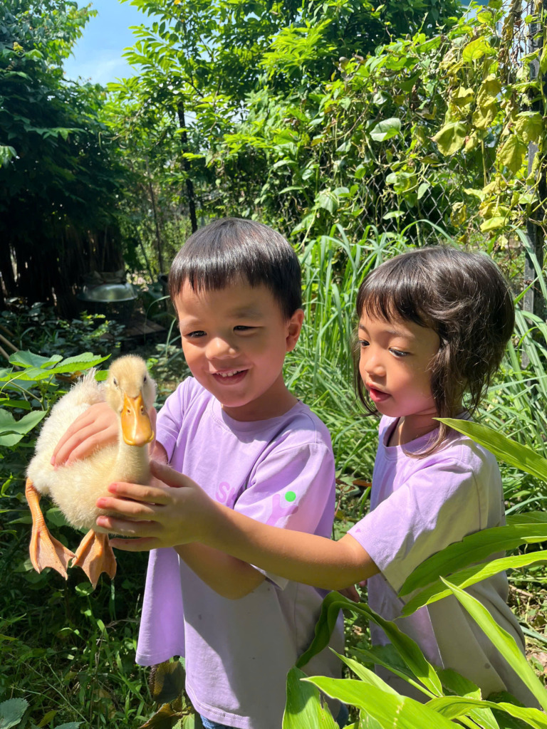 Children Play Duck Sky International Preschool